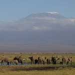 The Snows of Kilimanjaro