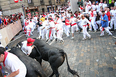 Pamplona