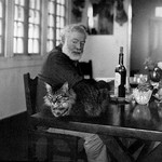 Dining room in Cuba and drinking with cat